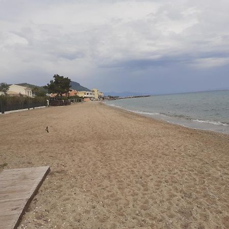 Zoi Apartmens Antonis Botsis Μεσογγή Εξωτερικό φωτογραφία