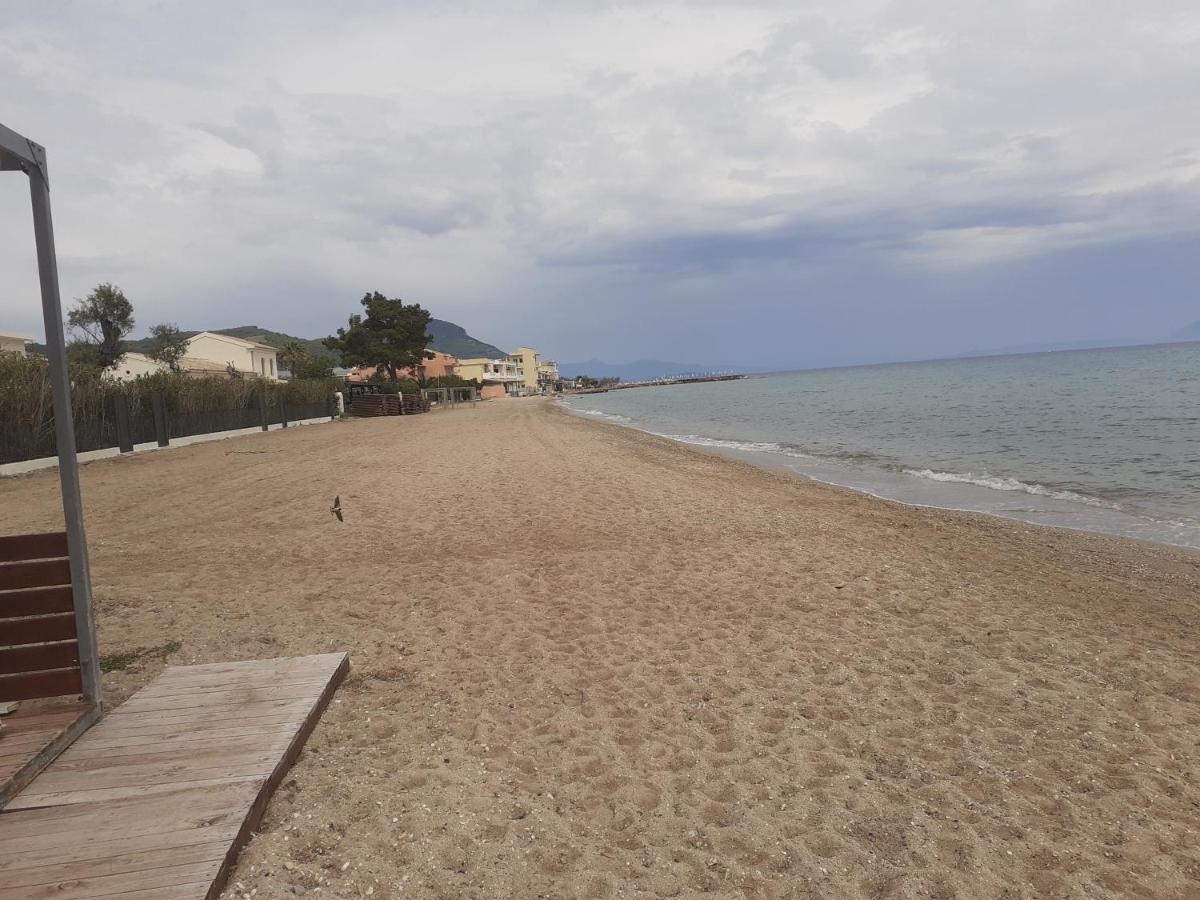 Zoi Apartmens Antonis Botsis Μεσογγή Εξωτερικό φωτογραφία